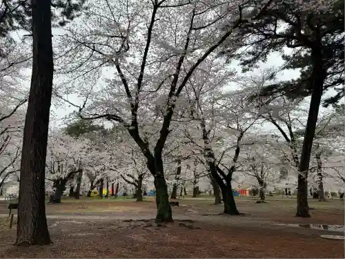 武蔵一宮氷川神社(埼玉県)