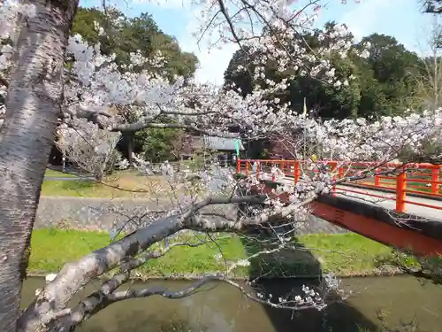 菌神社(滋賀県)