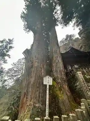 榛名神社(群馬県)