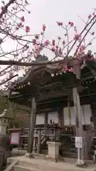 無動寺（延暦寺塔頭）の本殿