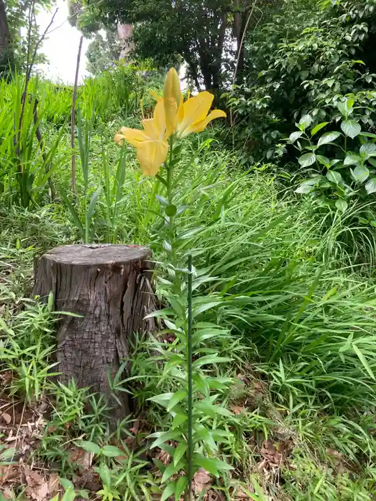北金目神社(神奈川県)