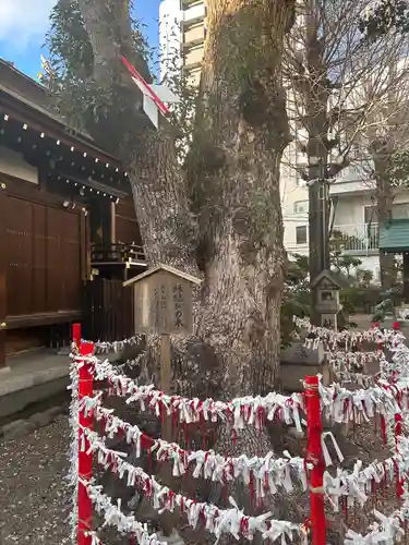 三輪神社(愛知県)