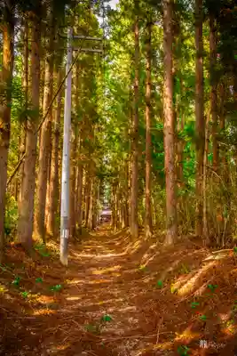 紫神社(宮城県)