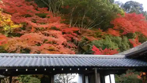 南禅寺の景色