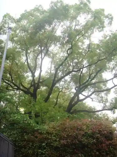 堀越神社の自然