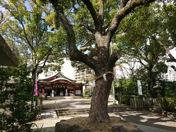 豊崎神社の自然