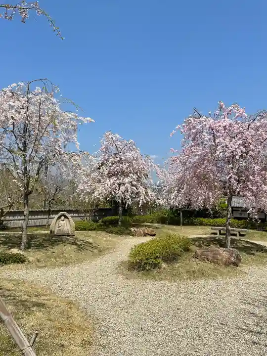 圓光寺の庭園