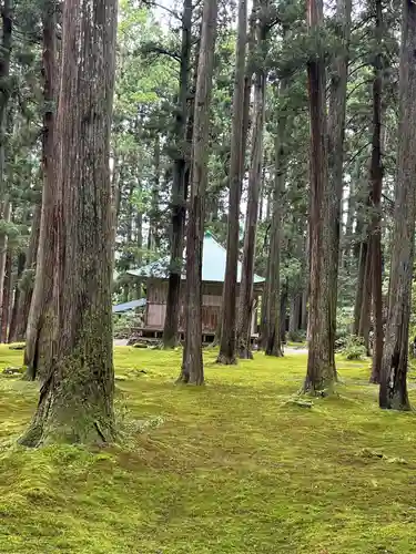 平泉寺白山神社(福井県)