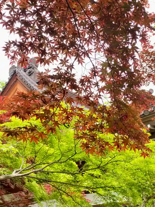 深大寺(東京都)