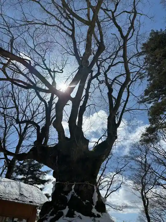 熊野皇大神社(長野県)