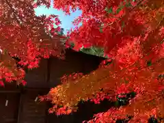 滑川神社 - 仕事と子どもの守り神の自然