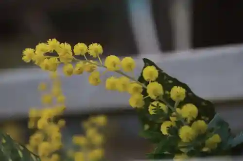 豊景神社の手水