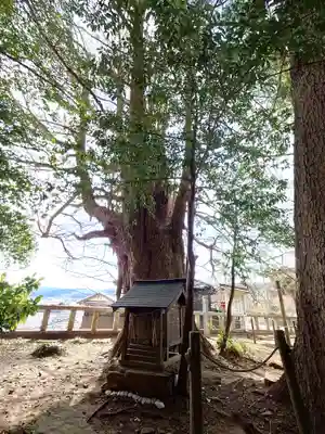 鹿嶋神社(茨城県)