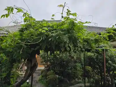 圓通寺(京都府)