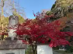 本土寺(千葉県)