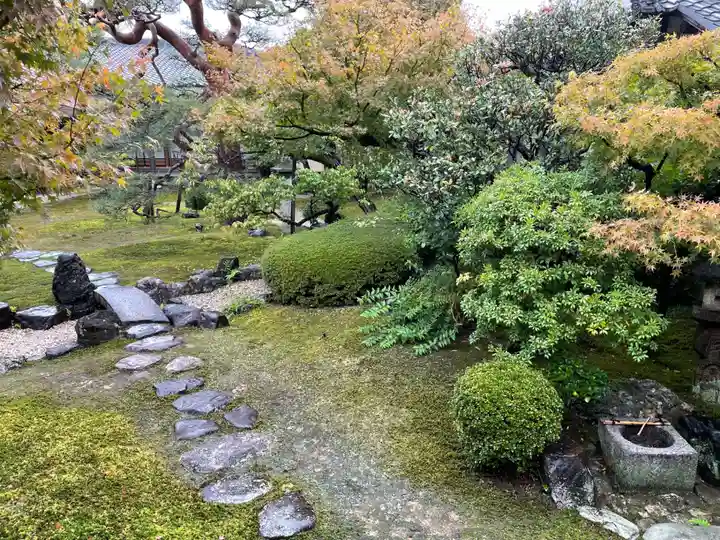 妙顯寺(妙顕寺)(京都府)