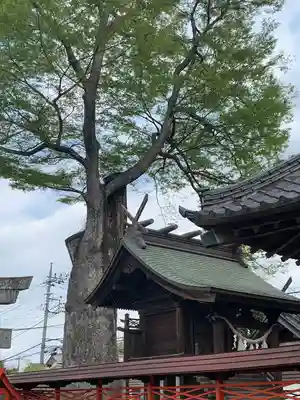橘神社(埼玉県)