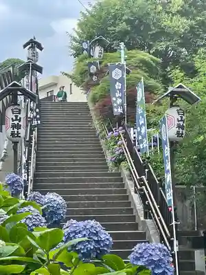 白山神社(東京都)
