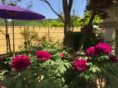 宝徳寺(群馬県)