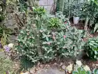 覚性寺の{uncategorized: "未分類", other: "その他", undefined: "問題あり", building: "その他建物", grave: "お墓", sacred_gate: "鳥居", guardian: "狛犬", statue: "像", buddha: "仏像", history: "歴史", nature: "自然", garden: "庭園", animal: "動物", pagoda: "塔", temizu: "手水舎", mountain_gate: "山門・神門", sanctuary: "本殿・本堂", subordinate: "末社・摂社", art: "芸術", scenery: "景色", jizo: "地蔵", ema: "絵馬", goshuin: "御朱印", omikuji: "おみくじ", items: "授与品その他", amulet: "お守り", goshuincho: "御朱印帳", eats: "食事", festival: "お祭り", votive_dance: "神楽", shichigosan: "七五三参", wedding: "結婚式", experience: "体験その他", initially: "初詣", around: "周辺", anti_infection: "感染症対策"}