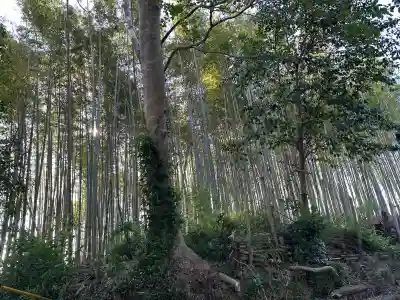 二見神社の自然