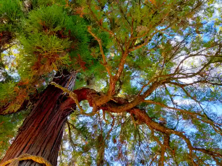 石上神宮(奈良県)