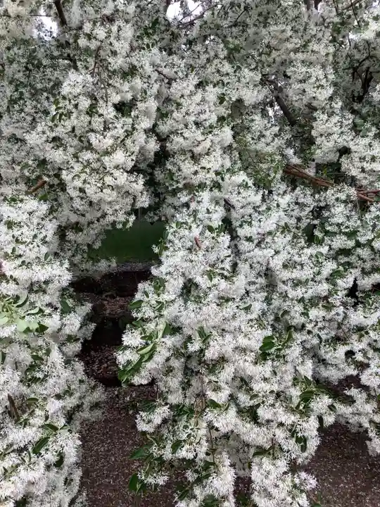 若宮八幡社(力長町)の庭園