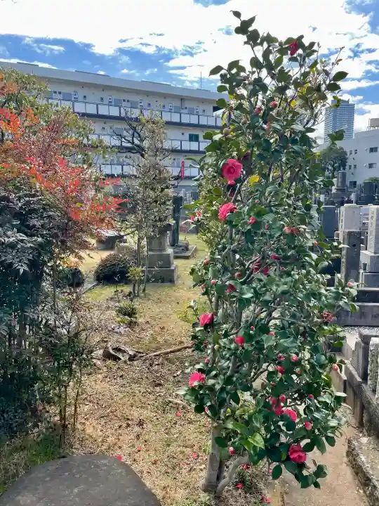 成佛寺の{uncategorized: "未分類", other: "その他", undefined: "問題あり", building: "その他建物", grave: "お墓", sacred_gate: "鳥居", guardian: "狛犬", statue: "像", buddha: "仏像", history: "歴史", nature: "自然", garden: "庭園", animal: "動物", pagoda: "塔", temizu: "手水舎", mountain_gate: "山門・神門", sanctuary: "本殿・本堂", subordinate: "末社・摂社", art: "芸術", scenery: "景色", jizo: "地蔵", ema: "絵馬", goshuin: "御朱印", omikuji: "おみくじ", items: "授与品その他", amulet: "お守り", goshuincho: "御朱印帳", eats: "食事", festival: "お祭り", votive_dance: "神楽", shichigosan: "七五三参", wedding: "結婚式", experience: "体験その他", initially: "初詣", around: "周辺", anti_infection: "感染症対策"}