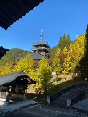 清大寺(越前大仏)(福井県)
