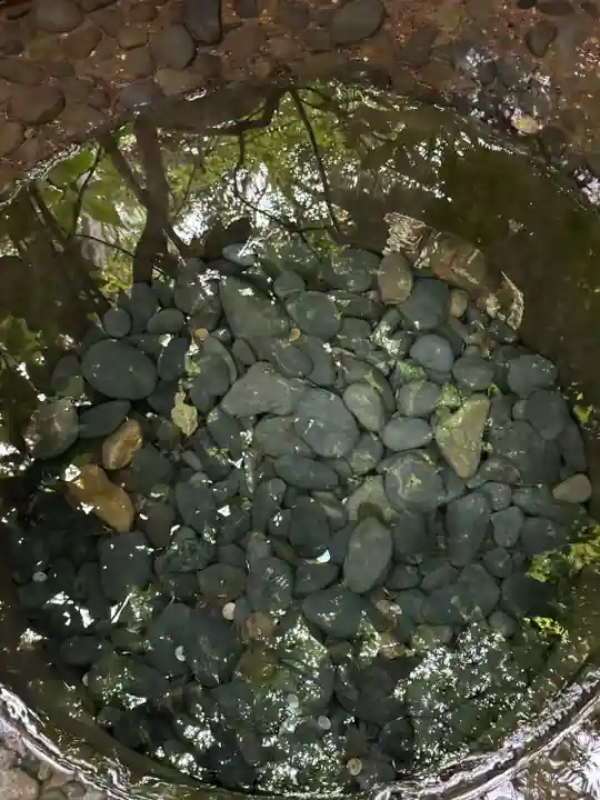 明治神宮(東京都)