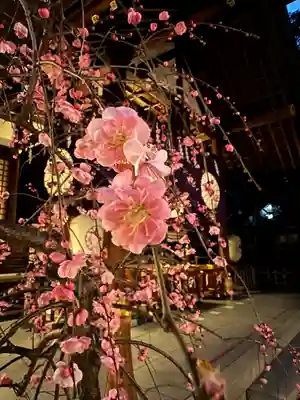 東京大神宮(東京都)