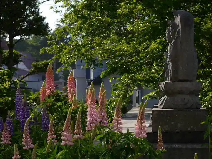 極楽山 浄土寺の自然