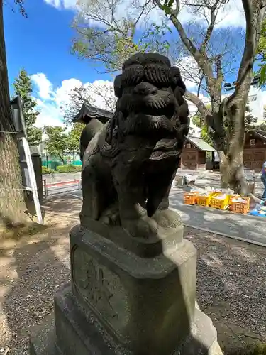 富岡八幡宮の狛犬