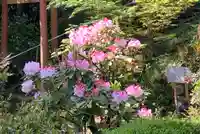 牟禮山観音禅寺の自然