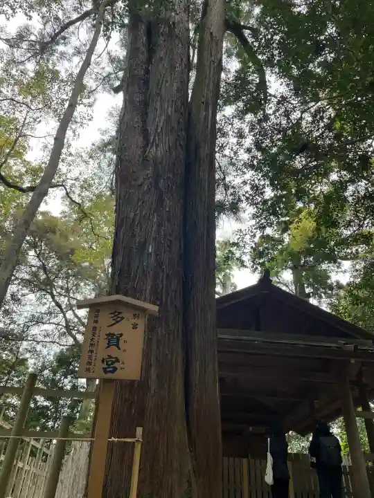 伊勢神宮外宮(豊受大神宮)の{uncategorized: "未分類", other: "その他", undefined: "問題あり", building: "その他建物", grave: "お墓", sacred_gate: "鳥居", guardian: "狛犬", statue: "像", buddha: "仏像", history: "歴史", nature: "自然", garden: "庭園", animal: "動物", pagoda: "塔", temizu: "手水舎", mountain_gate: "山門・神門", sanctuary: "本殿・本堂", subordinate: "末社・摂社", art: "芸術", scenery: "景色", jizo: "地蔵", ema: "絵馬", goshuin: "御朱印", omikuji: "おみくじ", items: "授与品その他", amulet: "お守り", goshuincho: "御朱印帳", eats: "食事", festival: "お祭り", votive_dance: "神楽", shichigosan: "七五三参", wedding: "結婚式", experience: "体験その他", initially: "初詣", around: "周辺", anti_infection: "感染症対策"}