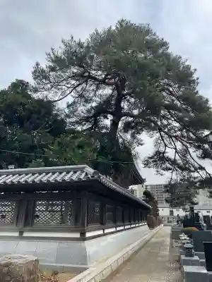 日乗院の{uncategorized: "未分類", other: "その他", undefined: "問題あり", building: "その他建物", grave: "お墓", sacred_gate: "鳥居", guardian: "狛犬", statue: "像", buddha: "仏像", history: "歴史", nature: "自然", garden: "庭園", animal: "動物", pagoda: "塔", temizu: "手水舎", mountain_gate: "山門・神門", sanctuary: "本殿・本堂", subordinate: "末社・摂社", art: "芸術", scenery: "景色", jizo: "地蔵", ema: "絵馬", goshuin: "御朱印", omikuji: "おみくじ", items: "授与品その他", amulet: "お守り", goshuincho: "御朱印帳", eats: "食事", festival: "お祭り", votive_dance: "神楽", shichigosan: "七五三参", wedding: "結婚式", experience: "体験その他", initially: "初詣", around: "周辺", anti_infection: "感染症対策"}