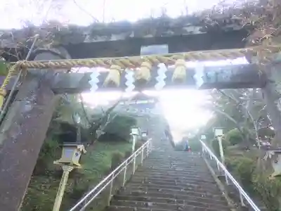 武雄神社の鳥居
