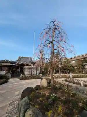 常性寺(東京都)