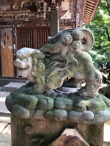 品川神社の狛犬