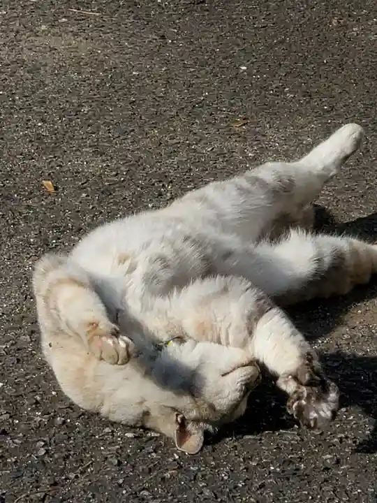 熊野神社の動物