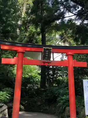 箱根神社の鳥居