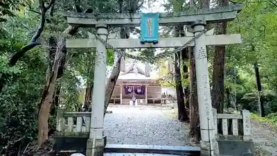 新宮神社の鳥居