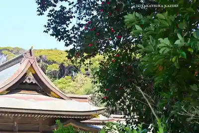 酒列磯前神社(茨城県)
