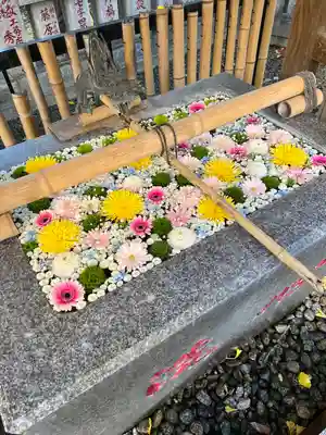 高円寺氷川神社の手水舎