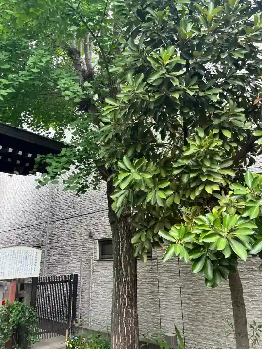 甘酒稲荷神社の{uncategorized: "未分類", other: "その他", undefined: "問題あり", building: "その他建物", grave: "お墓", sacred_gate: "鳥居", guardian: "狛犬", statue: "像", buddha: "仏像", history: "歴史", nature: "自然", garden: "庭園", animal: "動物", pagoda: "塔", temizu: "手水舎", mountain_gate: "山門・神門", sanctuary: "本殿・本堂", subordinate: "末社・摂社", art: "芸術", scenery: "景色", jizo: "地蔵", ema: "絵馬", goshuin: "御朱印", omikuji: "おみくじ", items: "授与品その他", amulet: "お守り", goshuincho: "御朱印帳", eats: "食事", festival: "お祭り", votive_dance: "神楽", shichigosan: "七五三参", wedding: "結婚式", experience: "体験その他", initially: "初詣", around: "周辺", anti_infection: "感染症対策"}