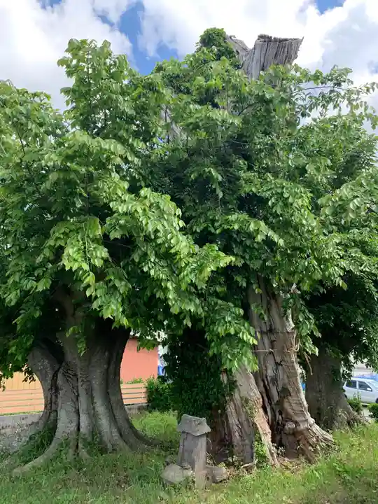 熊野神社(千葉県)