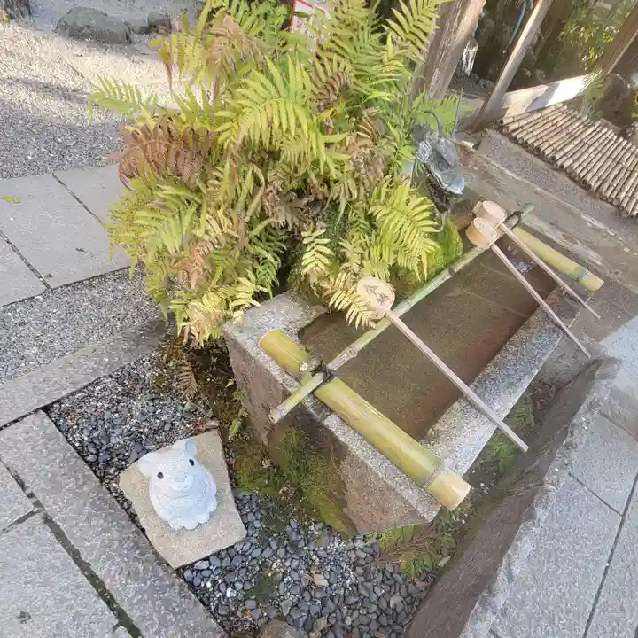 出雲大神宮の手水舎