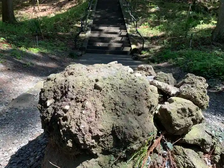 山宮浅間神社の自然