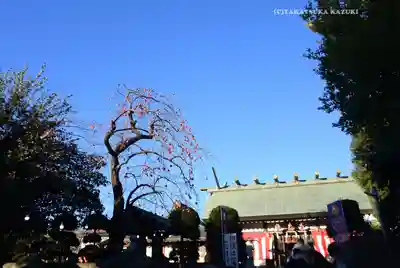 公所浅間神社(神奈川県)