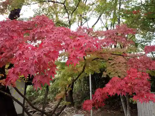 懐古神社の景色